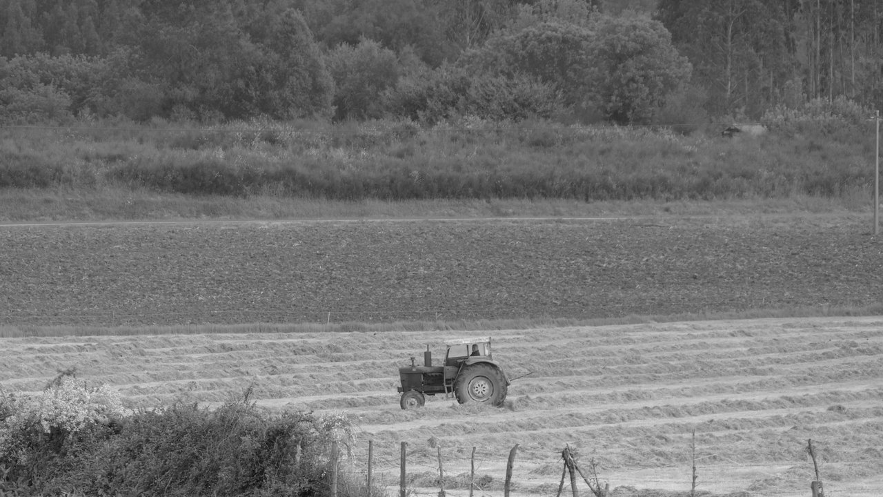 Black and white archival photo of early tractor farming on the original Jeevan Organics land